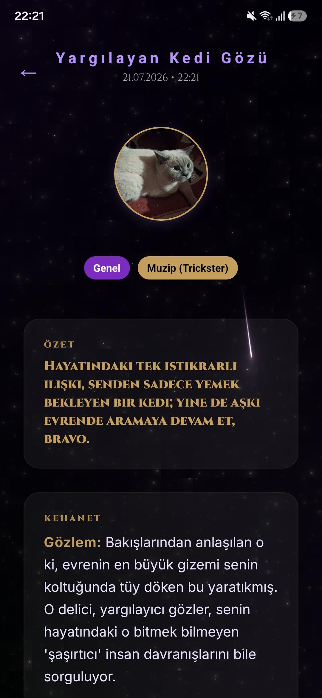 Bir ev kedisinin 'The Feline Sentinel of Indifference' başlıklı falı; kedinin bile sahibinin baş karakter sendromundan bıktığını söylüyor.